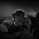 Day 6: Werewolf of London (1935)